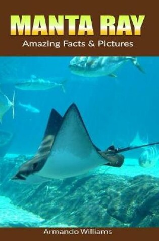 Cover of Manta ray