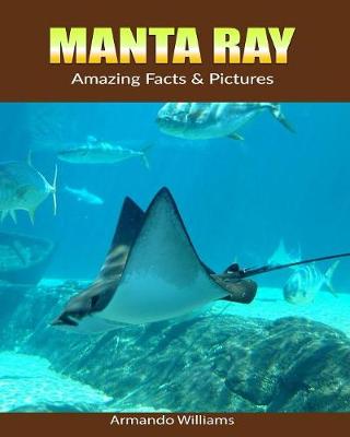 Book cover for Manta ray