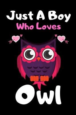 Book cover for Just a boy who loves owl