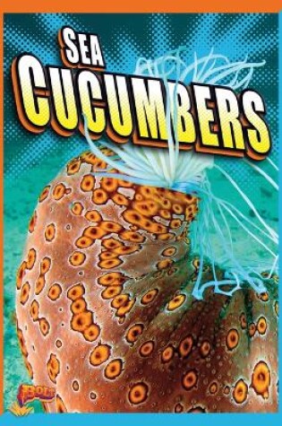 Cover of Sea Cucumbers