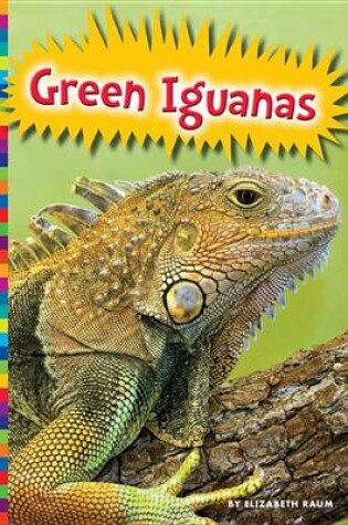 Cover of Green Iguanas