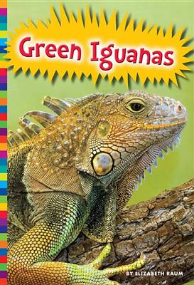 Book cover for Green Iguanas