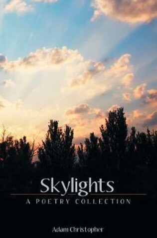 Cover of Skylights