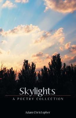 Book cover for Skylights