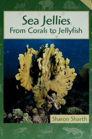 Cover of Sea Jellies