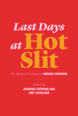 Book cover for Last Days at Hot Slit