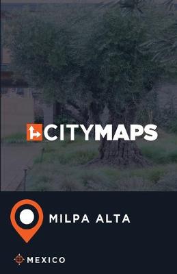 Book cover for City Maps Milpa Alta Mexico