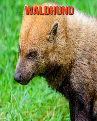 Book cover for Waldhund