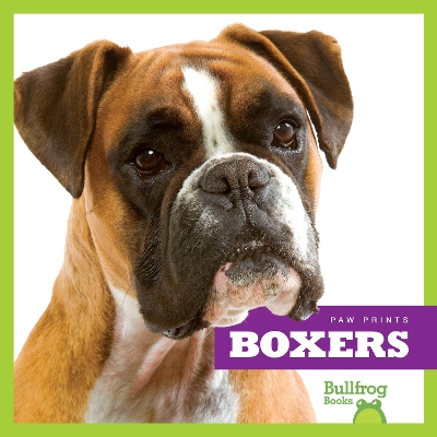 Book cover for Boxers