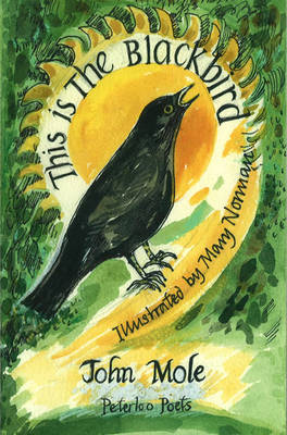 Book cover for This is the Blackbird