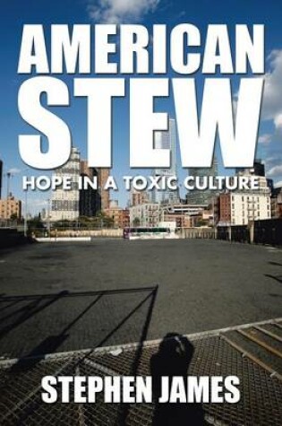 Cover of American Stew