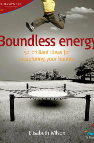Cover of Boundless Energy