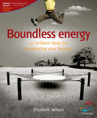 Book cover for Boundless Energy