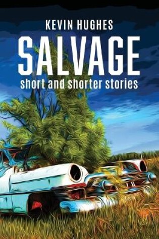 Cover of Salvage