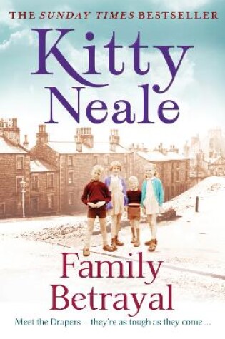 Cover of Family Betrayal