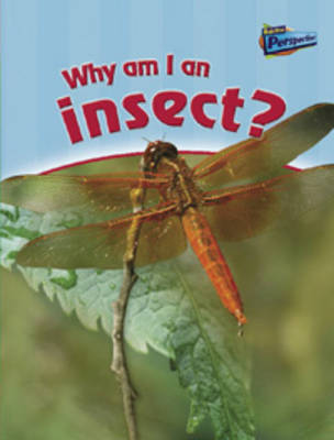 Book cover for Why am I an Insect?
