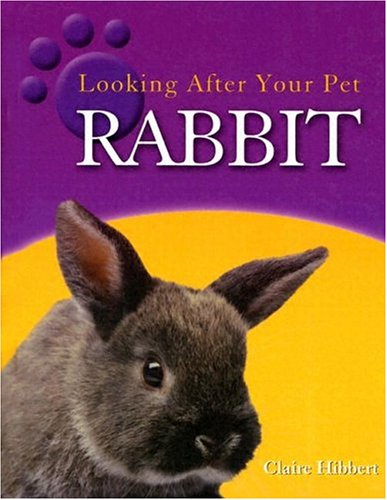 Cover of Rabbit