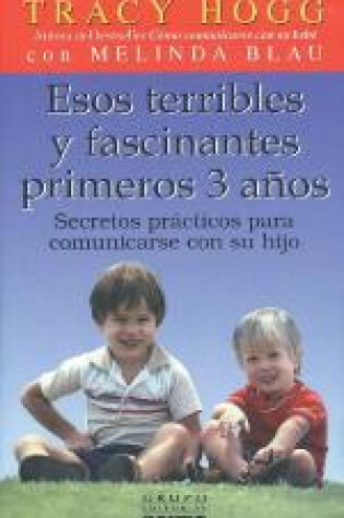 Cover of Esos Terribles y Fascinantes 3 Anos