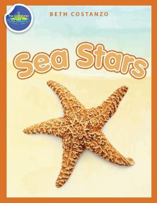 Book cover for Sea Stars Activity Workbook ages 4-8