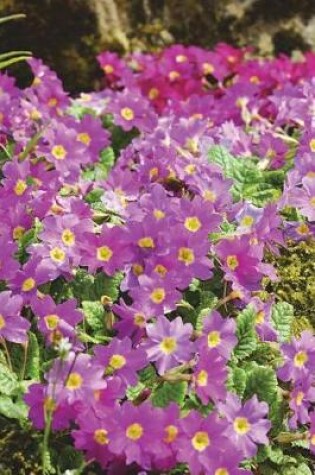 Cover of A Forest Carpet of Primrose Flowers Journal