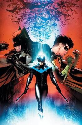 Book cover for Nightwing Vol. 6 The Untouchable