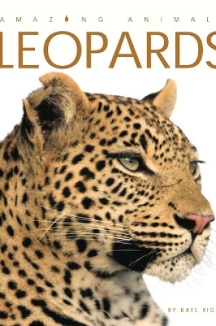 Cover of Leopards