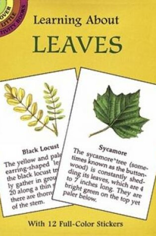 Cover of Learning about Leaves