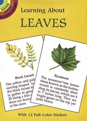 Book cover for Learning about Leaves