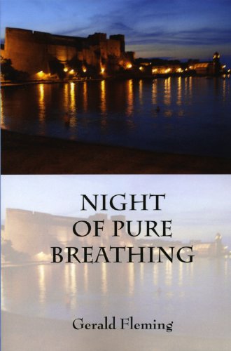 Book cover for Night of Pure Breathing