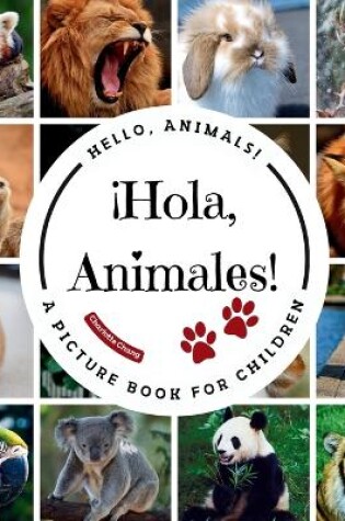 Cover of ¡Hola, Animales!