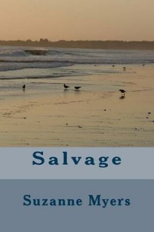 Cover of Salvage