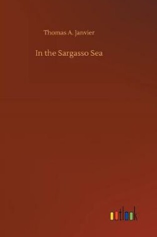 Cover of In the Sargasso Sea