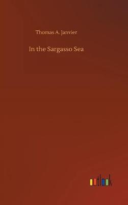 Book cover for In the Sargasso Sea