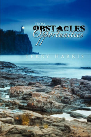 Cover of From Obstacles to Opportunities