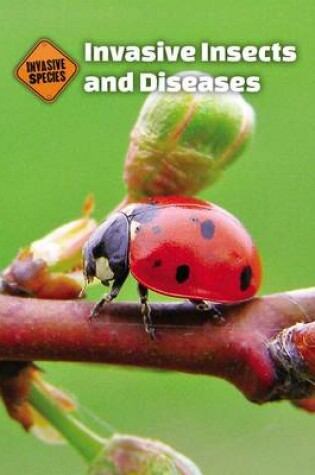 Cover of Invasive Insects and Diseases