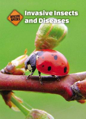 Cover of Invasive Insects and Diseases