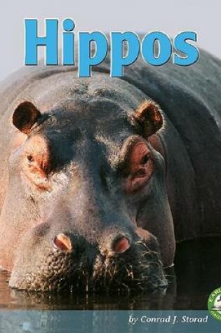 Cover of Hippos