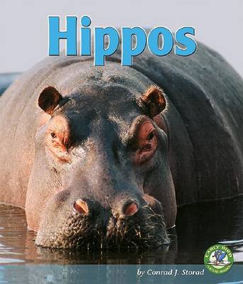 Cover of Hippos