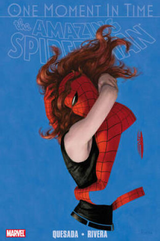Cover of SpiderMan: One Moment in Time