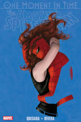 Cover of Spiderman: One Moment In Time