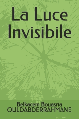 Book cover for La Luce Invisibile