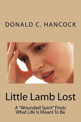 Book cover for Little Lamb Lost