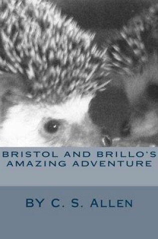 Cover of Bristol and Brillo's Amazing Adventure