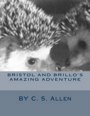 Book cover for Bristol and Brillo's Amazing Adventure