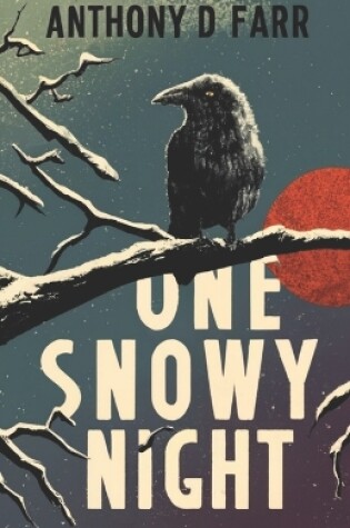 Cover of One Snowy Night