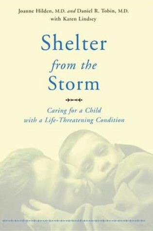 Cover of Shelter From The Storm