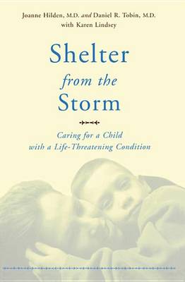 Book cover for Shelter From The Storm