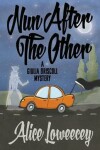 Book cover for Nun After the Other