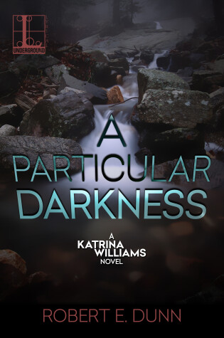 Cover of A Particular Darkness