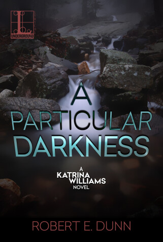 Book cover for A Particular Darkness
